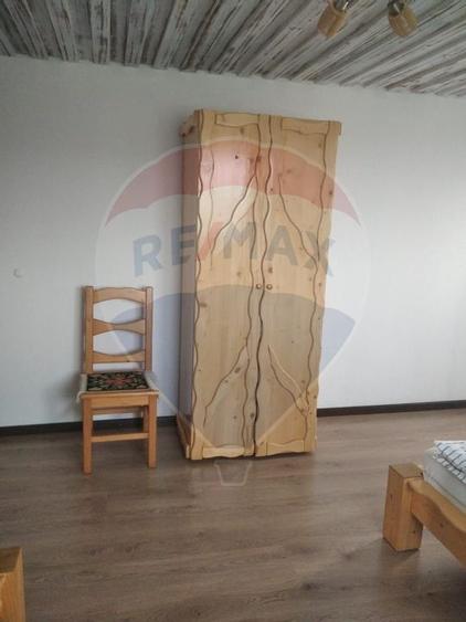 Proprietate cu Potential Triplu..LOCUINTA,INVESTITIE,TURISM!! - 10