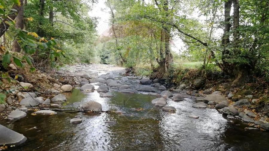 Teren 2,932mp Sarbi (Budesti) / Drumul Principal - 6