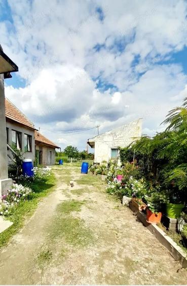 Casa de vanzare in Zadareni - 7
