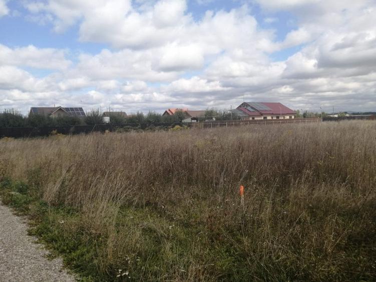 Teren de vanzare Harman - 2