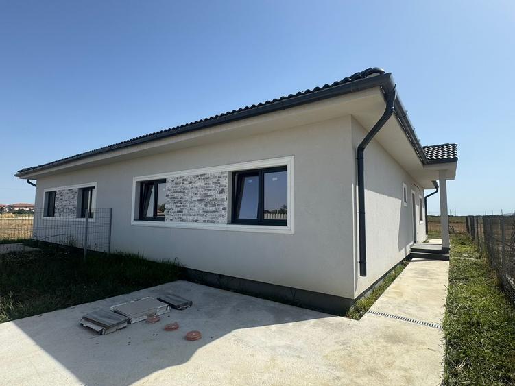 Duplex pe parter - Mosnita Noua - 1
