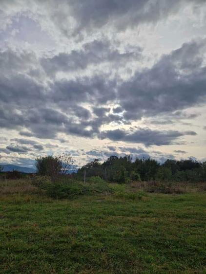 Teren intravilan cu PUZ finalizat 130 /m2 - 6