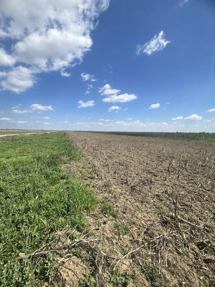 Teren agricol Slobozia Moara 8544 mp acces la drum asfaltat si la 1 km de DN7 - 3