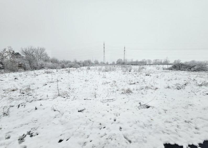 Teren Ronat Timisoara - 1