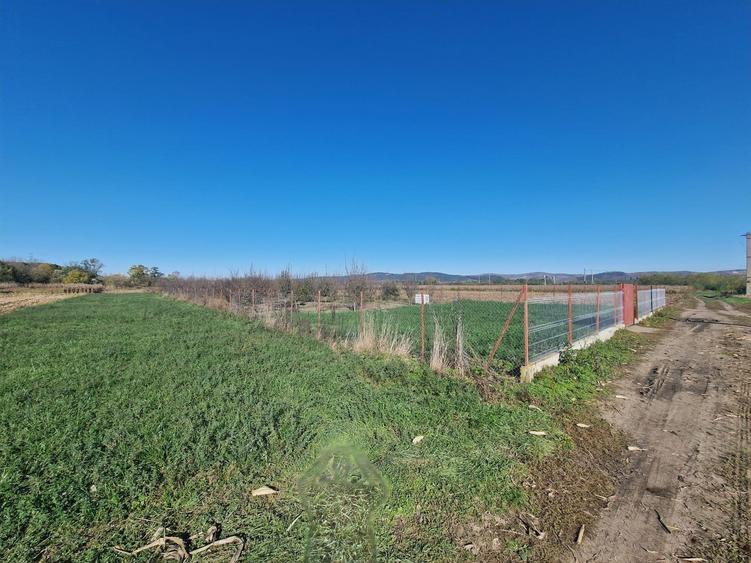 Vanzare teren în localitatea Răscruci - 3