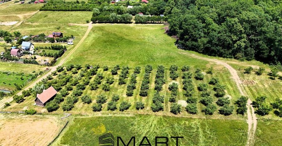 Teren extravilan 5000mp zona Cisnadie - 5