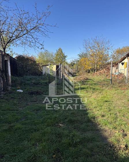 Casa veche in Recas cu teren generos de 1438 mp - 6