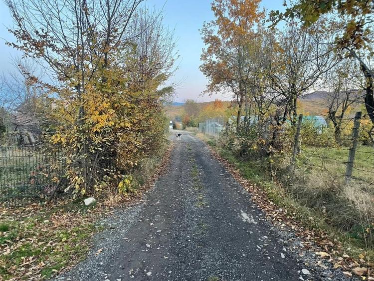 Teren intravilan de vanzare – Tropinii Noi - 1036 mp - 2