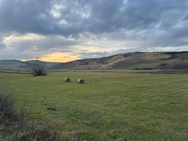 Teren Extravilan I 6000 Mp I Acces la drum | Cojocna - 1