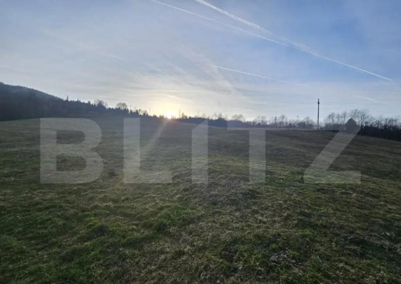 Teren intravilan de 16667 mp, Sosea de Centura, Abrud - 1