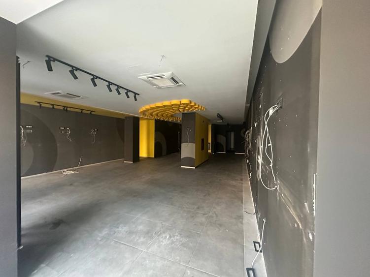 Spațiu comercial de închiriat în Trivale - 233mp - 4