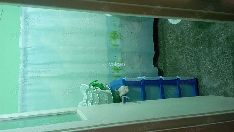 Apartament doua camere