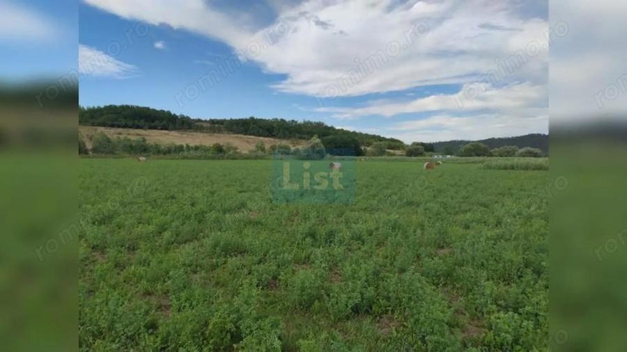 Comision %! Teren intravilan 22 400 mp, plan, sat Fundatura Cluj - 3