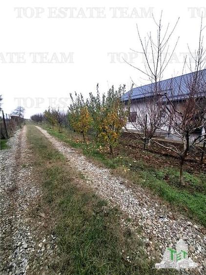 Teren Construcții intravilan de 963 mp, în Moara Vlăsiei
