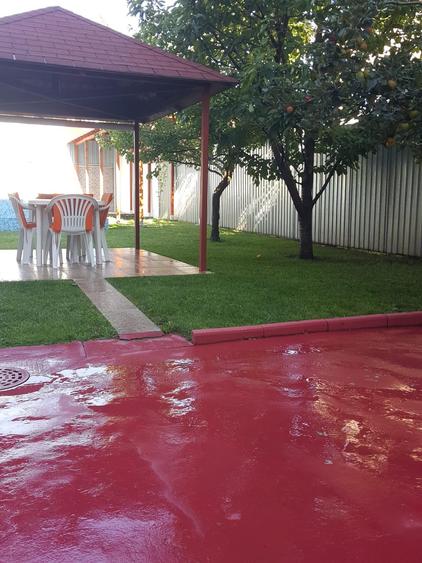 Casă individuală cu 9 camere cu Piscina în Titulescu