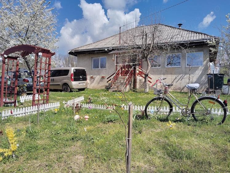 Casă cu 3 camere cu Teren 13000 Mp în Stănița