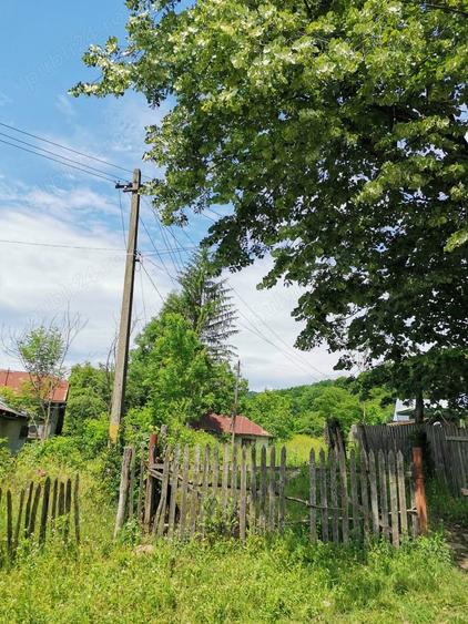 Teren de 2000 mp, în Cosmina de Sus
