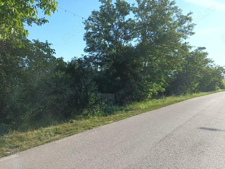Teren de 4000 mp, în Central