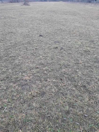Teren de 4488 mp, în Pângărați