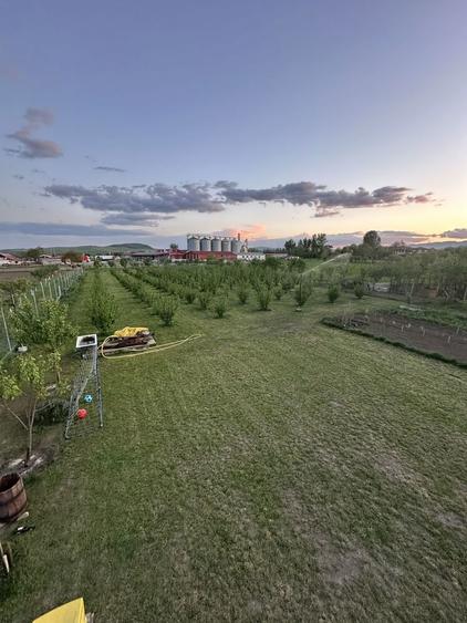 Vand propietate in Galda de Jos , 4700 mp - 6