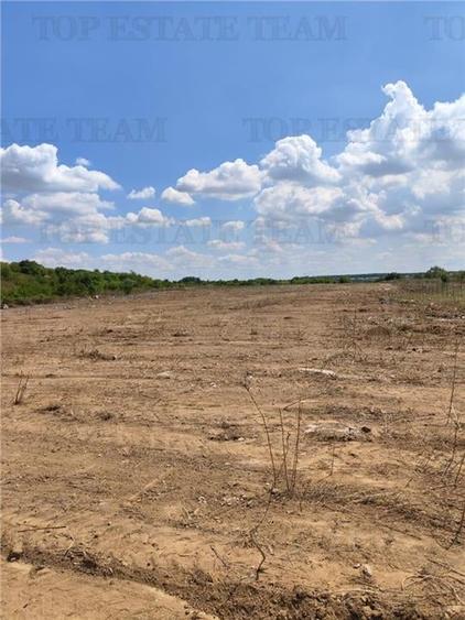 Teren intravilan de vanzare 28.200 mp Bucuresti Sector 6 - 5