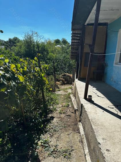 Casa batraneasca - 1
