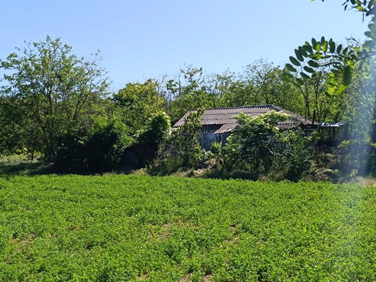 Casa de vanzare, teren intravilan 3719mp, loc. Independenta Constanta - 2