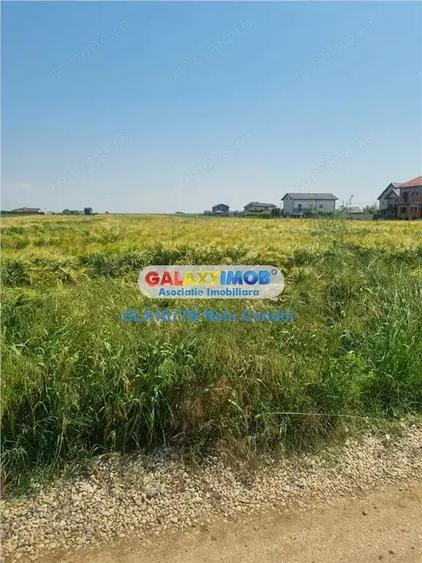 VANZARE TEREN INTRAVILAN 10000 MP COMUNA BERCENI - 4