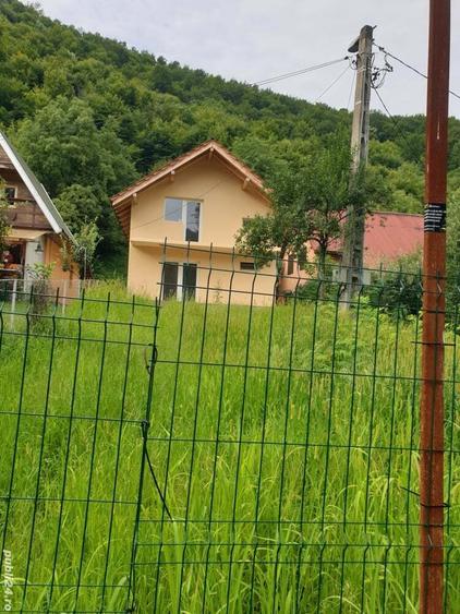 Casa de vacanta Borlova Muntele Mic Caras Severin - 1