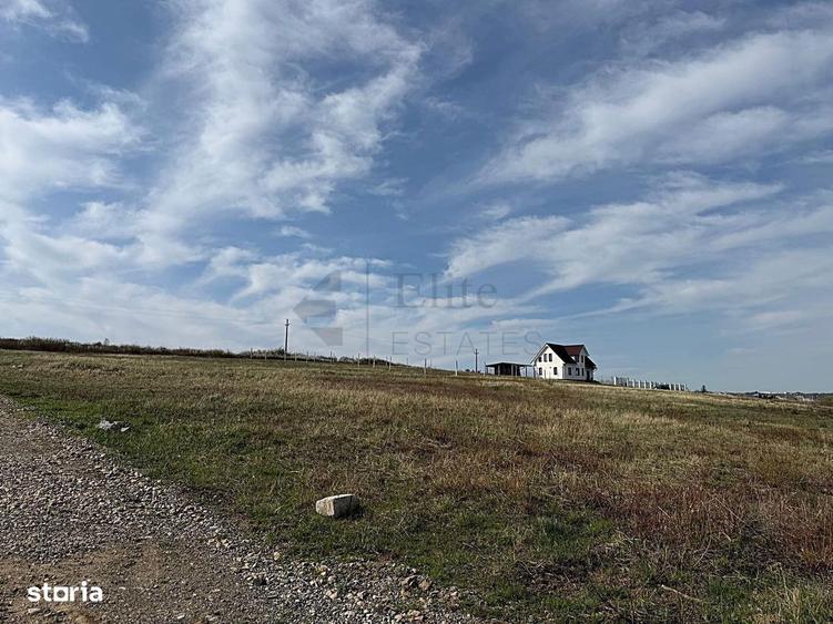 Teren intravilan 700 mp de vanzare in Paleu - 4