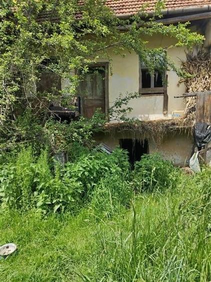 Domeniu verde autentic,  +5.000mp, front la DJ, Valcele, Brasov -- Covasna - 9