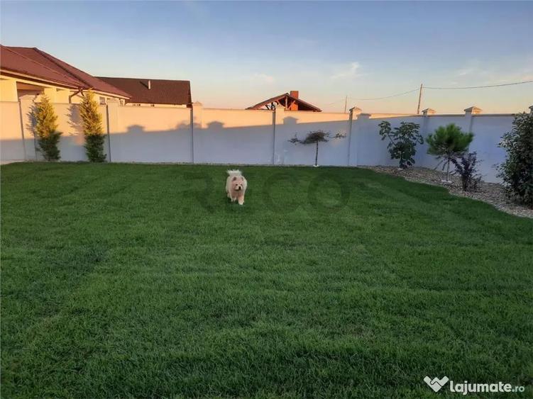 RECO Casa 3 camere #238;n Santandrei - 6