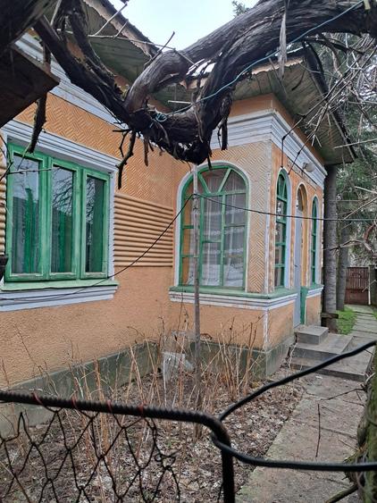 Vand casa cu 2500 metrii patrati de curte plus dependente - 6