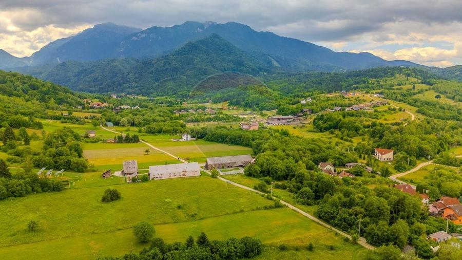 COMISION 0% Teren 1,590mp Rasnov / DJ 101 - 3