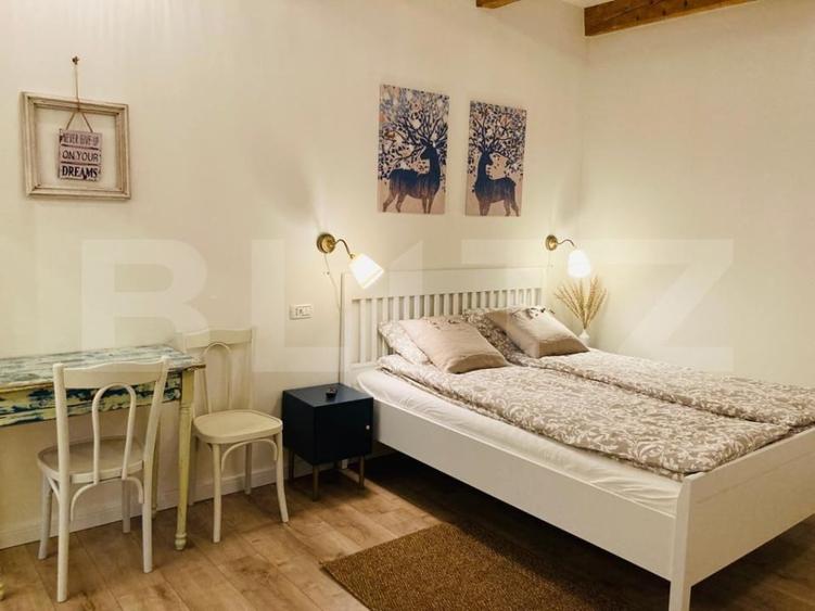 Investiție stabilă în zonă centrală – imobil pregătit pentru închiriere, Horea - 10