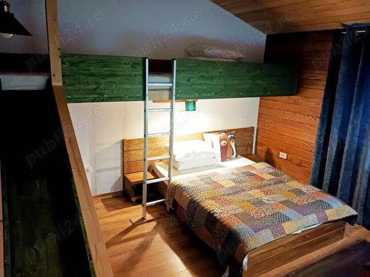 Case de vacan?a sau rezidentiale la ?ara, pe Transfagarasan . - 9