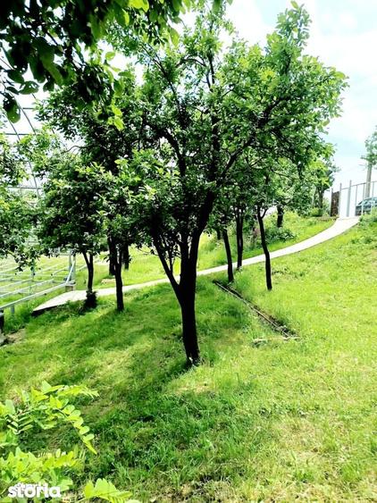Ansamblu reziden?ial 5 case de vacan?a in Plaiu Campinei, Prahova - 17