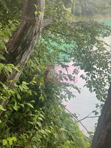 Teren cu deschidere la lac Valea Doftanei, Prahova - 7