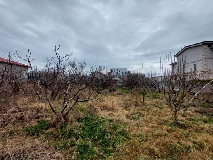 TEREN 1110mp  |  KAMSAS  |  CONSTANTA - 3