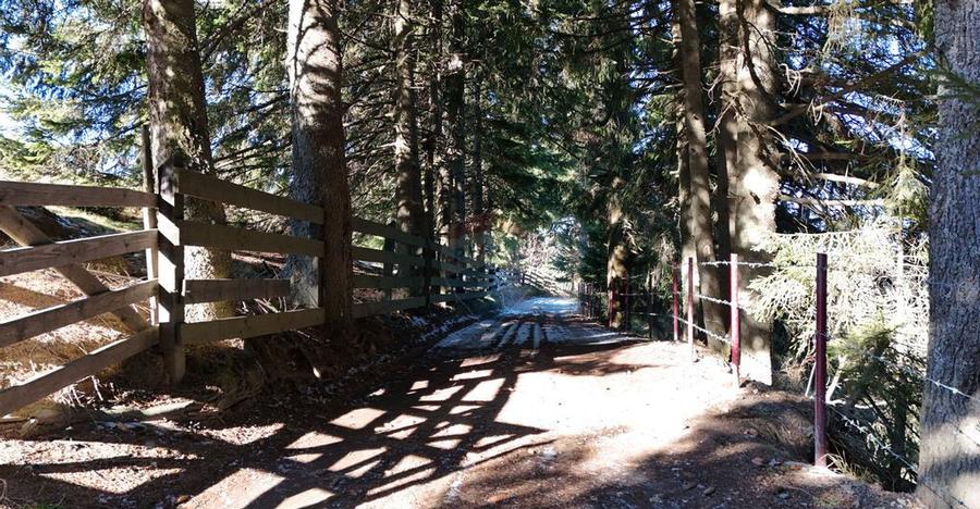 Priveliste minunata spre Bugeci, Magura,Piatra Craiului ... - 2