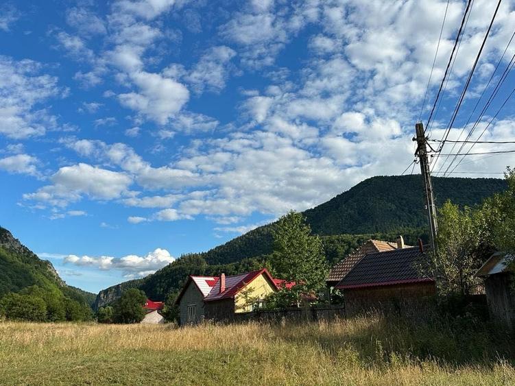 Teren intravilan Lepsa - 7