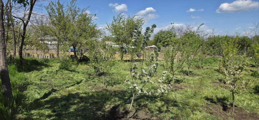 Vand proprietate   - 11