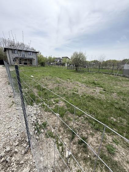 Teren Domnesti 840mp - 6