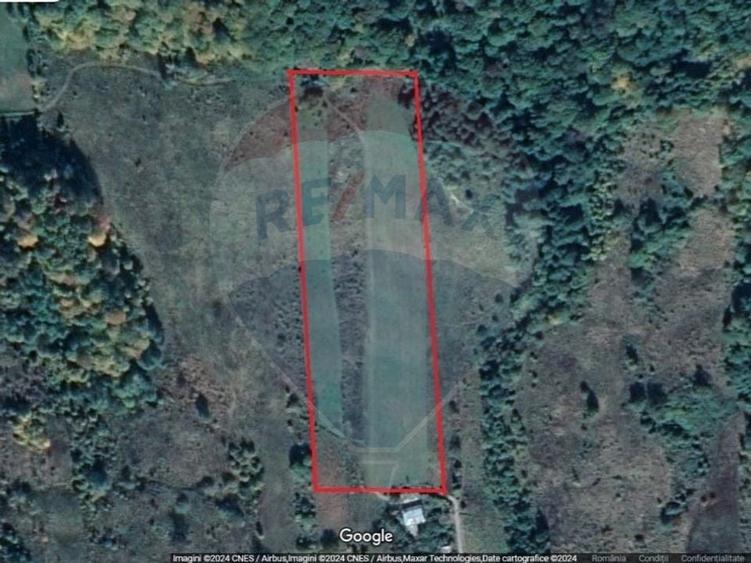 Teren 11,935mp Margineni / Strada Dubas - 5