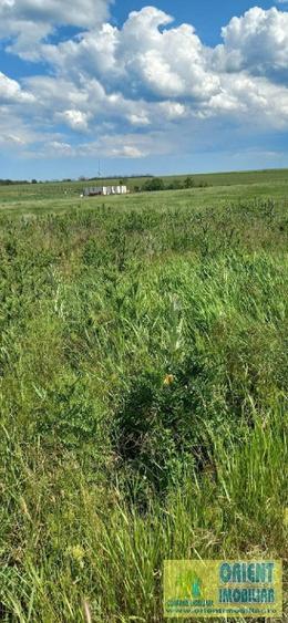 Techirghiol, teren 2.496mp, extravilan - 8