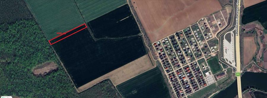 5000 mp langa padure - 1