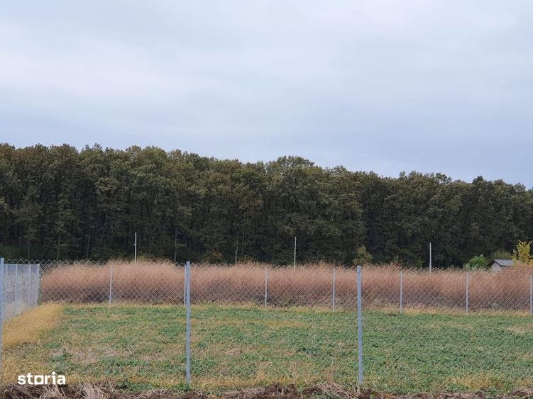Teren 1500 mp Ghermanesti in proximitatea padurii str Nicopole - 1