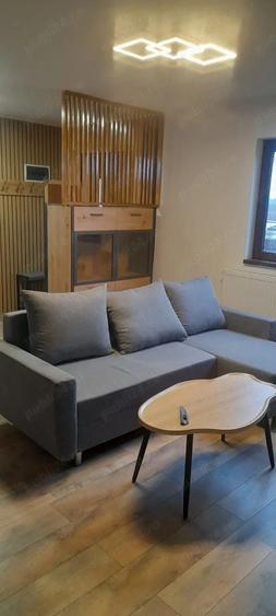 Casa P+M de inchiriat Clinceni Put Olteni - 9