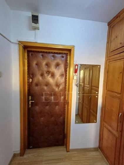 Apartament 2 camere în zona GRIGORE ALEXANDRESCU - 10