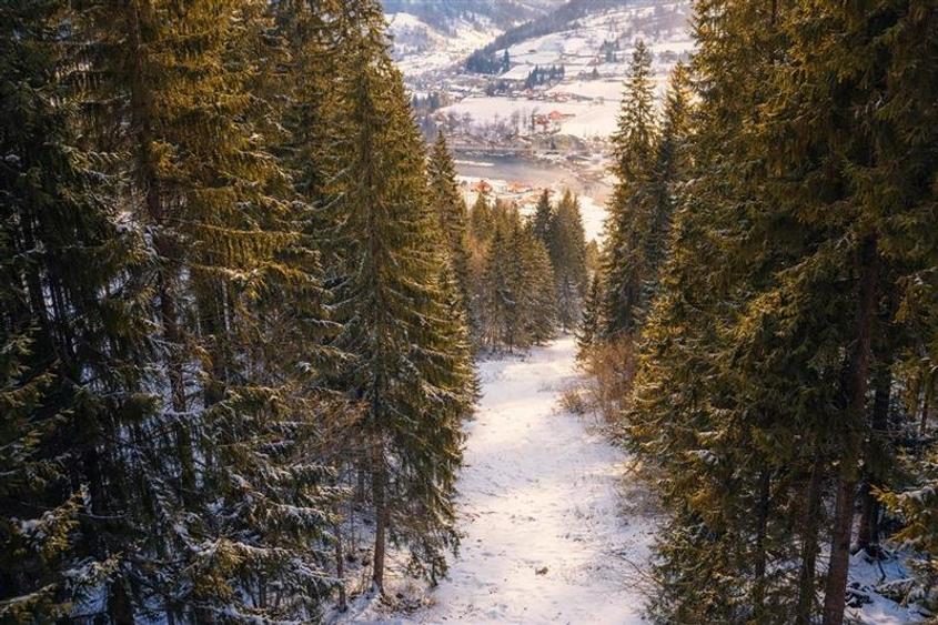 FILM!Teren 7.800mp,fosta partie de schi,investitie turistica/agrement,Lunca Brad - 2